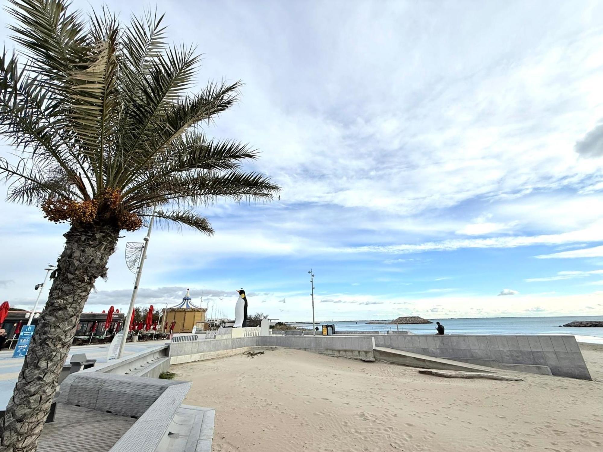 Appart Grande Motte Quartier Couchant - Parking - Balcon- Piscine - Plage 300M ลา กร็องเดอ-ม็อต ภายนอก รูปภาพ